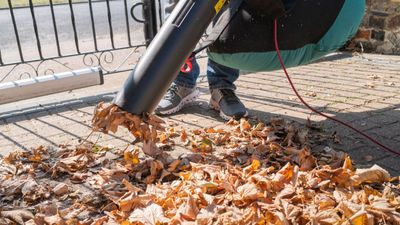 Are leaf vacuums ever worth it? This product tester isn't so sure