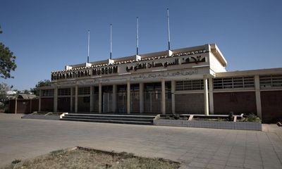 Tens of thousands of artefacts looted from Sudan museum, says official