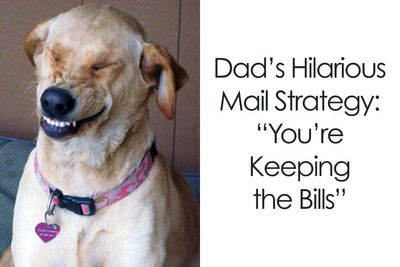 40 Dad Memes That Prove Dads Are The Funniest People Alive