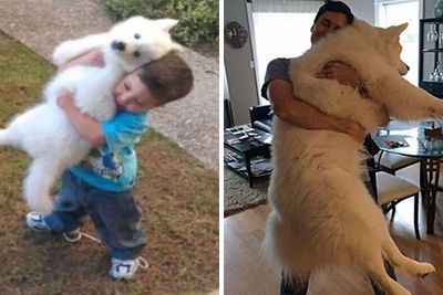 We’re Not Crying, You’re Crying: 50 People Share Adorable Then Vs. Now Pics With Their Pets