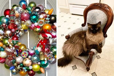 50 Times People Found The Most Amazing Things While Shopping Secondhand