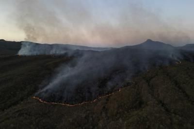 Brazil Faces Worst Drought In History