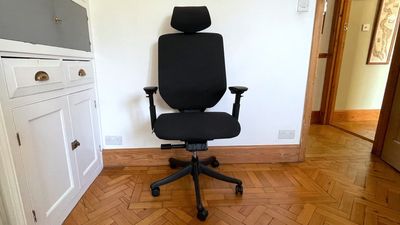 FlexiSpot BS12 Pro review: an ergonomic office chair to battle back and neck pain