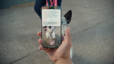 Apple announces Visual Intelligence — its take on Google Lens