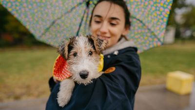 Trainer reveals the one part of socializing a puppy that’s easy to overlook (and why it's so important)