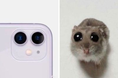 Apple Just Presented iPhone 16 And People Online Can’t Stop Making Memes, Here Are 31 Of Them