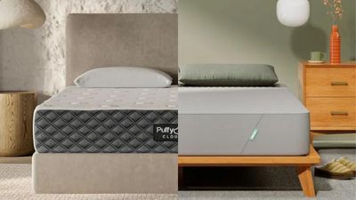 Puffy Cloud vs Siena: Which supportive memory foam mattress suits your sleep?