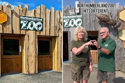 Boomer Couple’s “Gen Z Style” Tour Of Zoo Goes Viral, People Call It “Marketing Genius”