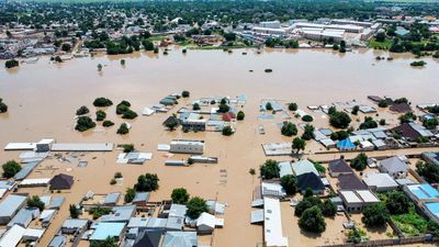 Dam collapse in Nigeria sweeps deadly reptiles into flooded communities