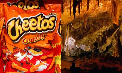 US cave system’s bats and insects face existential threat: discarded Cheetos