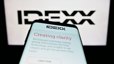 How Is IDEXX Laboratories' Stock Performance Compared to Other Healthcare Stocks?