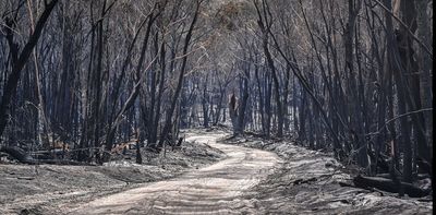 Buried treasures: how seeds help us learn about fire in the Australian landscape