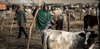 Nigerian farmers lack insurance: payouts triggered by weather data offer a solution