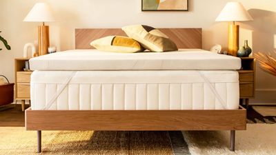 I can't sleep without the Tempur-Pedic Tempur-Adapt Topper