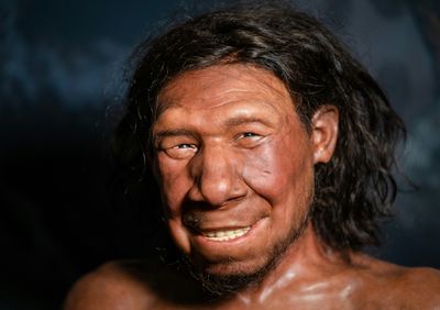 Was A Lack Of Get-Up-And-Go The Death Of The Neanderthals?