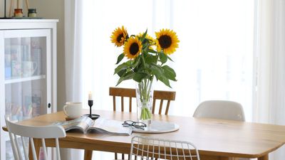 How to Care for Sunflowers in a Vase — Gardening Experts Share Methods to Help Keep Your Blooms Happy