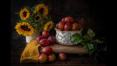 “My still-life photos are inspired by Old Masters and modern still-life paintings”