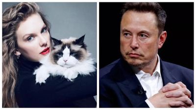 Elon Musk's response to Taylor Swift's endorsement for Kamala Harris stirs controversy; netizens lable his remark as 'sexual harassment'