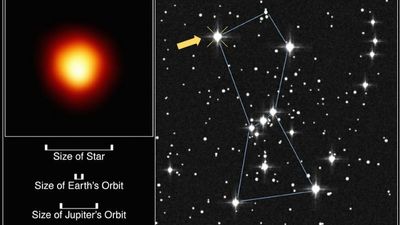 Betelgeuse, Betelgeuse? One of the brightest stars in the sky may actually be 2 stars, study hints