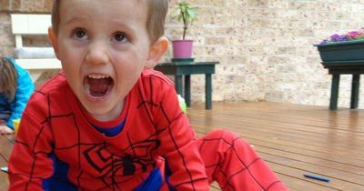 One decade on from William Tyrrell's disappearance: $1m reward for information