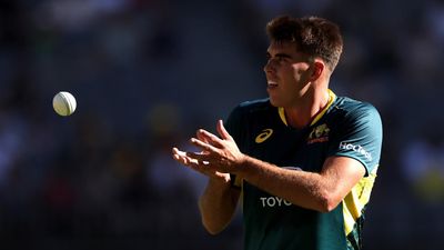 Bartlett injury a fresh pace-bowling worry for Aussies