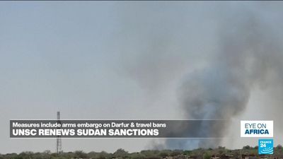 UN Security Council renews Sudan sanctions, NGOs say it's not enough