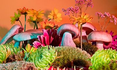Shroom with a view: photo gems from Images Vevey – in pictures