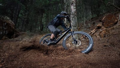 DJI’s Amflow eMTB finally has a price: Can your wallet handle the ride?