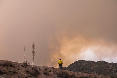 Burned-out firefighters are fleeing the US Forest Service amid labor disputes: ‘We are decimated’