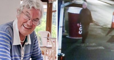 Police publish CCTV as missing 82-year-old spotted on dark road