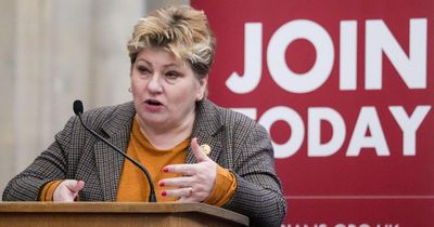 Emily Thornberry secures key Westminster foreign affairs role despite Gaza comments