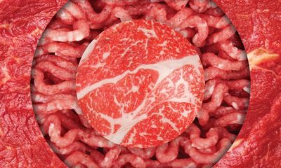 ‘Plants are trying to kill you’: why carnivore influencers claim we should eat only meat