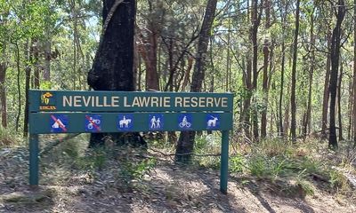 Fear for koalas after bushwalker finds fire ant nests near Queensland sanctuary