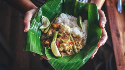 Sattvic food and mental clarity: How what you eat influences your mind