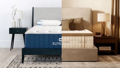 Bear Elite vs Cloverlane Hybrid: Which mattress is right for your sleep?