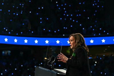 Harris, Trump March Forward In US Battleground States Drive