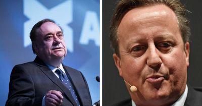 Alex Salmond claims David Cameron was 's******g' himself over independence vote