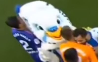 Spanish footballer found guilty of groping female mascot in parakeet costume