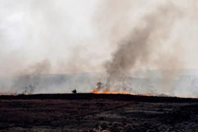 Wildfires And Tropical Storm Francine Update