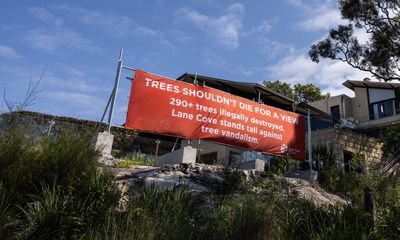 Huge banner scuppers prime Sydney Harbour view gained by killing of 300 trees