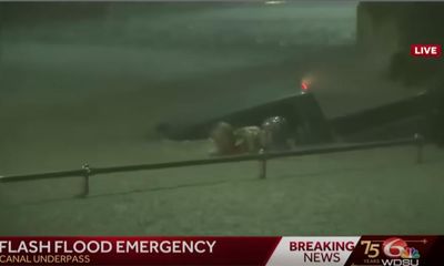 ‘Gotta save lives’: Louisiana nurse saves motorist during Hurricane Francine