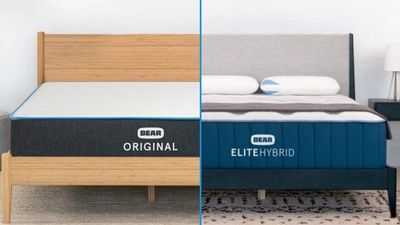 Bear Original vs Bear Elite Hybrid: Which mattress should you buy?