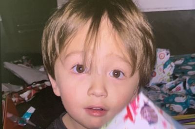 Hunter discovers remains of missing three-year-old boy who went missing months ago