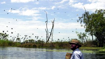 A wider view: clean energy push for environment reform