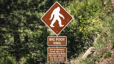 This AI bot will check for you if Bigfoot is real