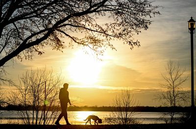 Dog-walking injuries are spiking as experts warn of perils on a leash