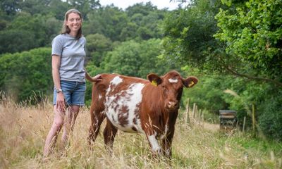 ‘Nature’s church’: living cowpats and rainforests transform Exmoor national park