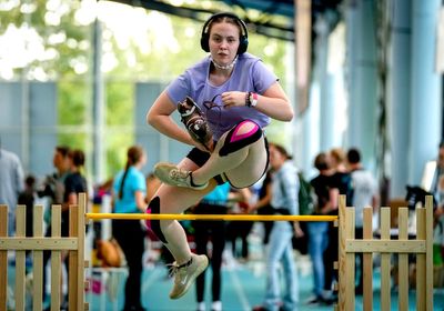 Germany's first hobby horsing championship gallops through Frankfurt