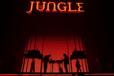 Jungle review – like a puzzle with a piece missing