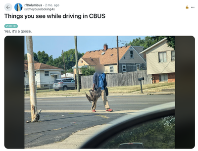 Explanation finally revealed for viral image of man holding geese that fueled bizarre pet-eating claims in Ohio